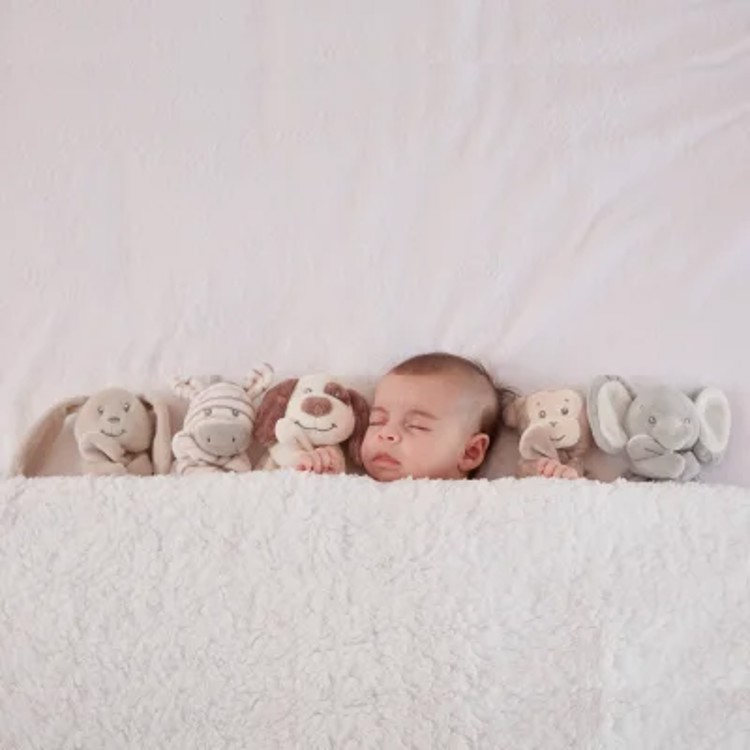 Naninha de Cachorrinho - Buba